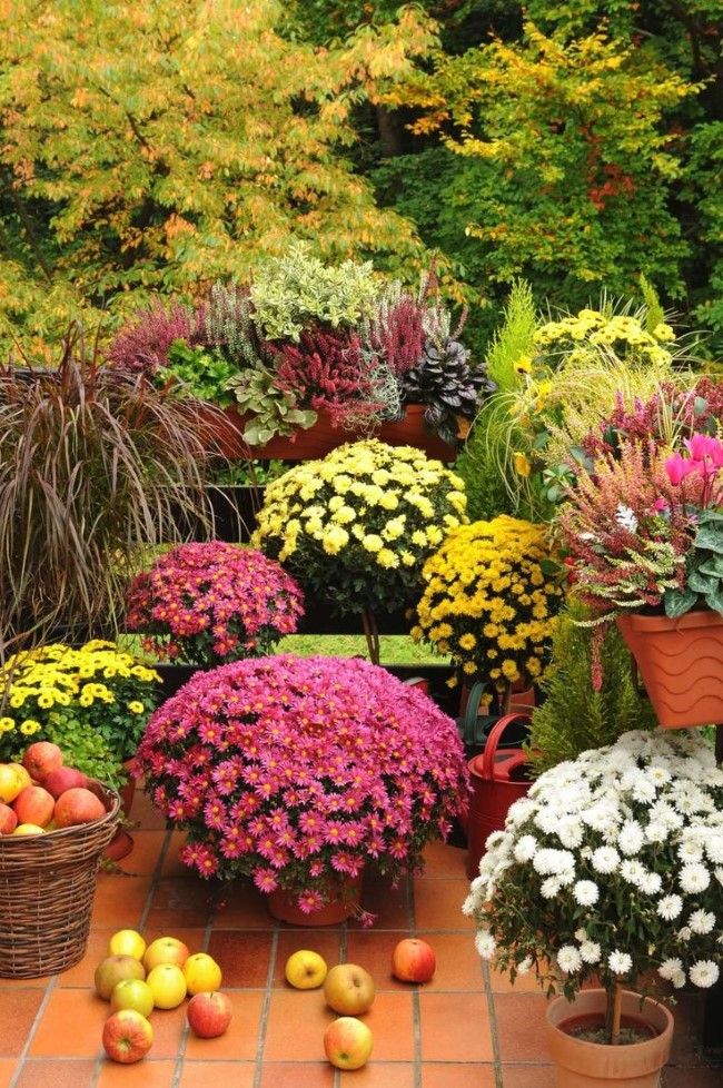Einen märchenhaften Herbstgarten gestalten – farbenfrohe Ideen und Tipps bunte blumen deko garten