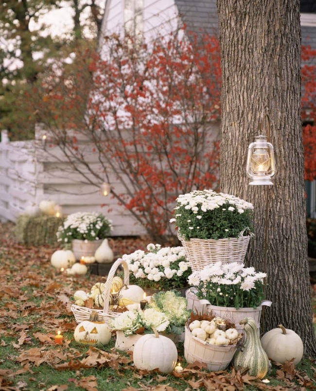 Einen märchenhaften Herbstgarten gestalten – farbenfrohe Ideen und Tipps deko mit weißen kürbissen