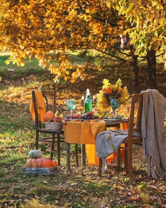 Einen märchenhaften Herbstgarten gestalten – farbenfrohe Ideen und Tipps gemütliche orte entspannen