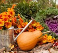 Einen märchenhaften Herbstgarten gestalten – farbenfrohe Ideen und Tipps