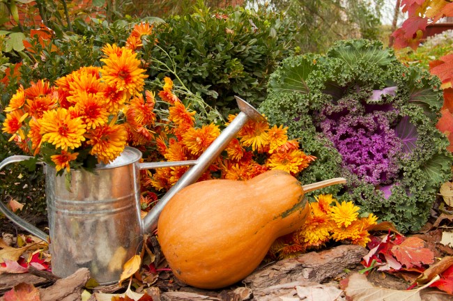 Einen märchenhaften Herbstgarten gestalten – farbenfrohe Ideen und Tipps gießkanne deko blumen