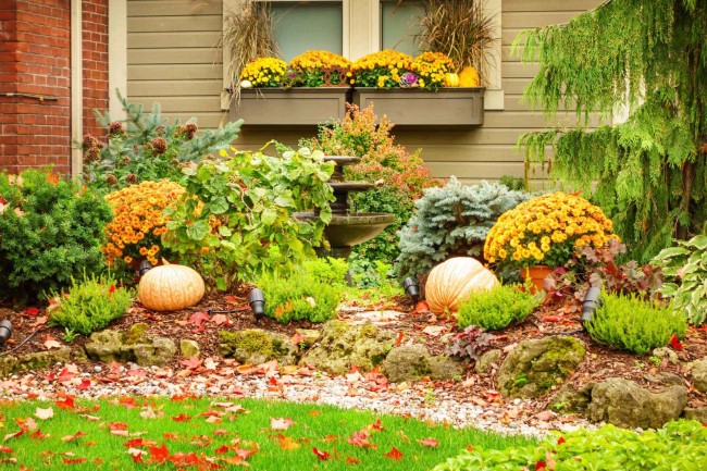 Einen märchenhaften Herbstgarten gestalten – farbenfrohe Ideen und Tipps herbst garten ideen elemente