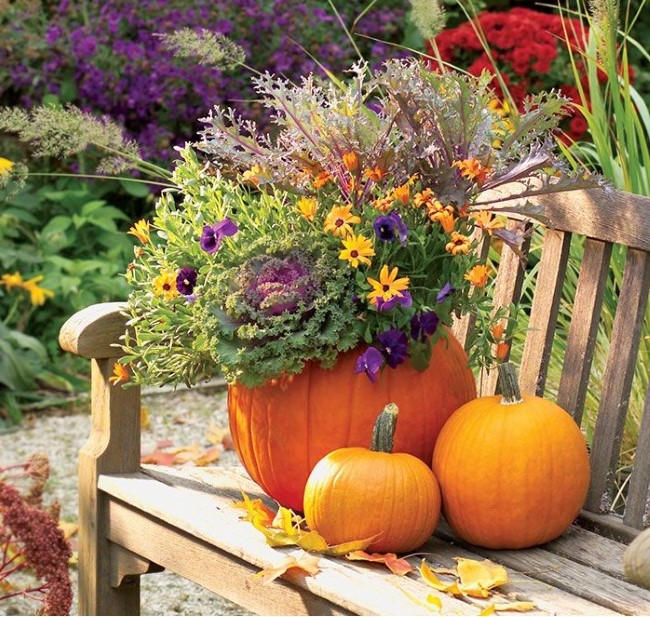 Einen märchenhaften Herbstgarten gestalten – farbenfrohe Ideen und Tipps holzbank rustikal deko
