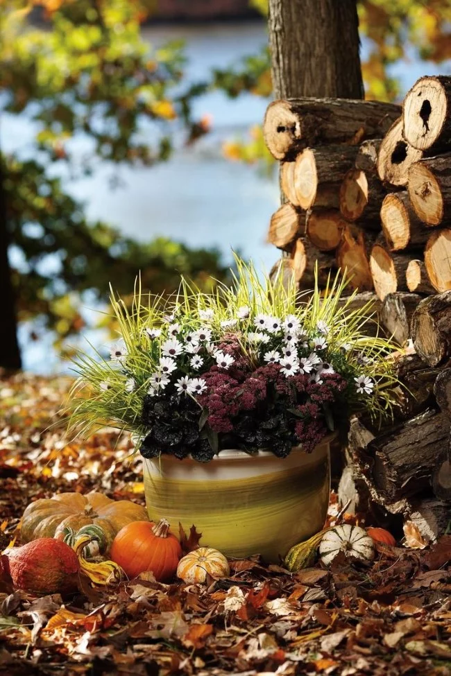 Einen märchenhaften Herbstgarten gestalten – farbenfrohe Ideen und Tipps schöne ideen garten