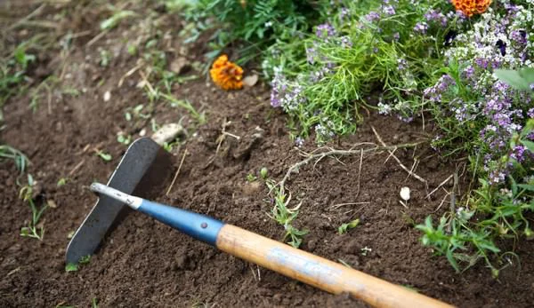 Gartenarbeit im Oktober Gartengeräte und Werkzeuge sauber machen und ins Winterquartier bringen