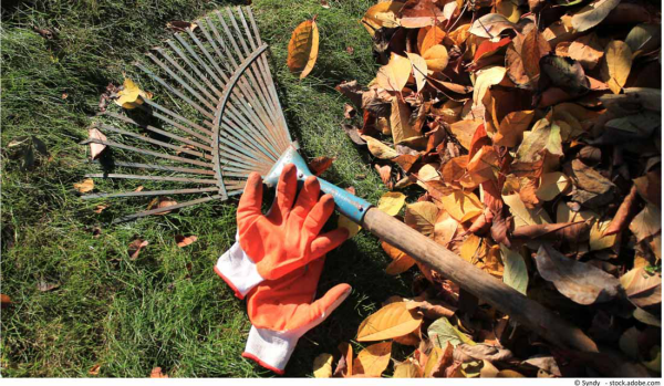 Gartenarbeit im Oktober To-Do-Liste abgefallene verwelkte Blätter sammeln