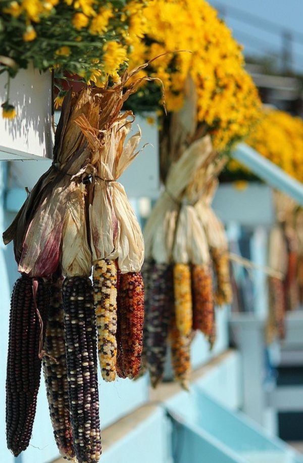Herbstdeko-Ideen mit Mais natürliche Schönheit