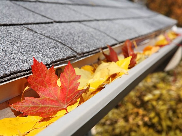 Herbstputz im Heim und Garten – natürliche Putzmittel und Checkliste dachrinnen reinigen