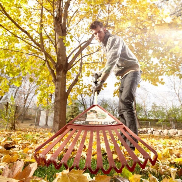Herbstputz im Heim und Garten – natürliche Putzmittel und Checkliste herbst blätter rechen