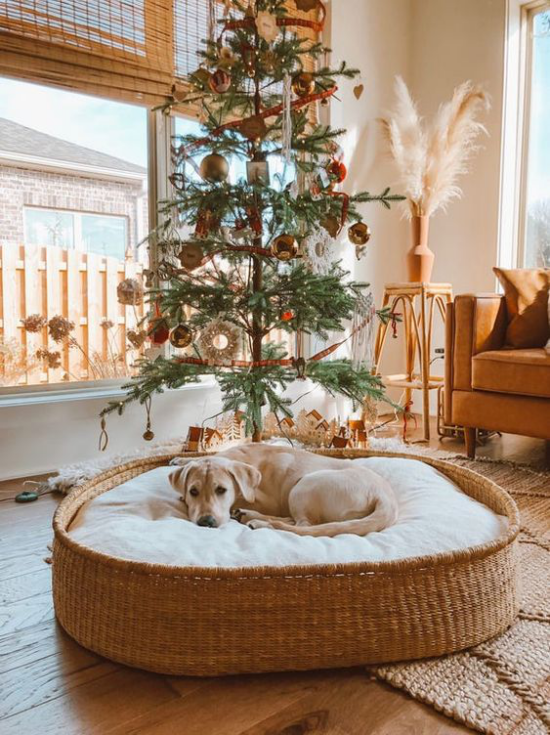 Hundebetten Flechtkorb großes Hundekissen gemütlich komfortabel Weihnachtsdekoration im Raum Tannenbaum warme Naturfarben