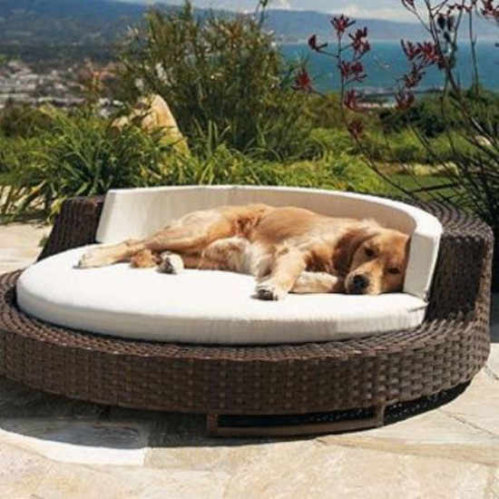 Hundebetten Korbmöbel für Hunde elegantes Modell für draußen ein echter Blickfang