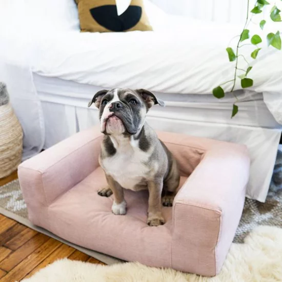 Hundebetten schickes Modell rosa Sessel Stoff wasserfest kratz-und bissfest