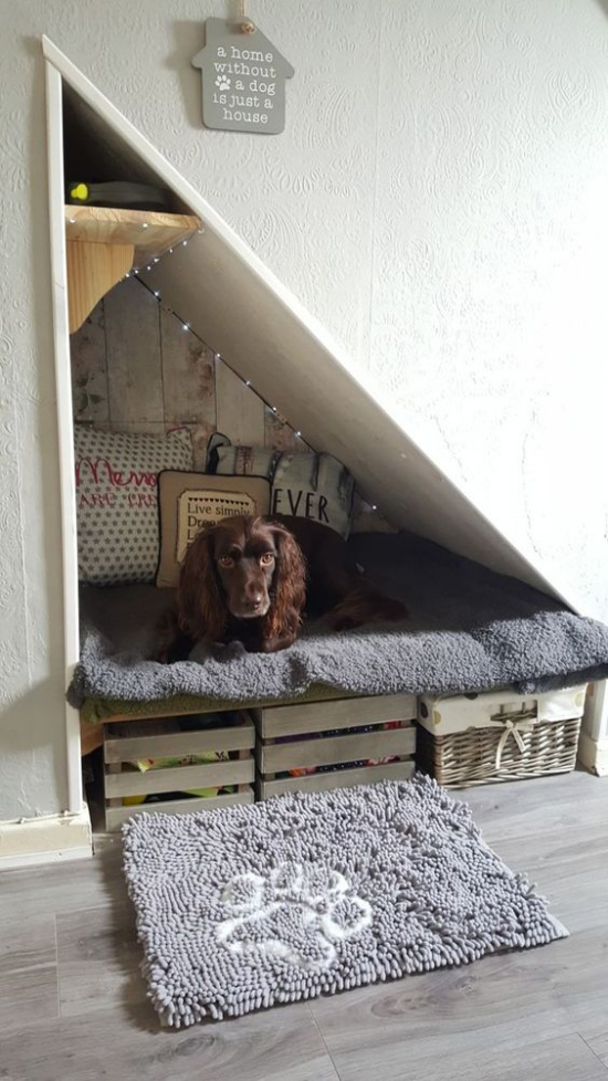 Hundebetten selber bauen einen gemütlichen Schlafplatz unter der Treppe gestalten