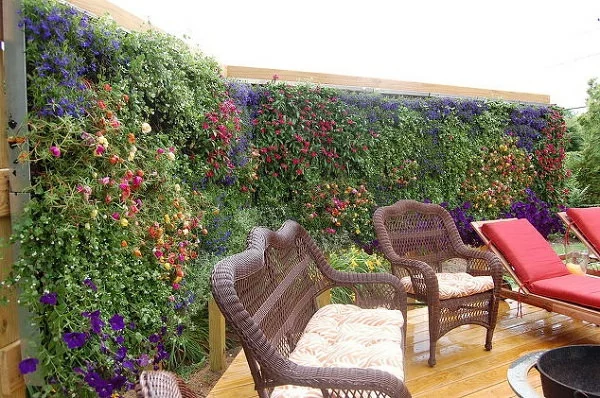 grüne undurchsichtige Wand erstellen Sichtschutz Ideen für den Garten Sitzecke Privatsphäre schützen 