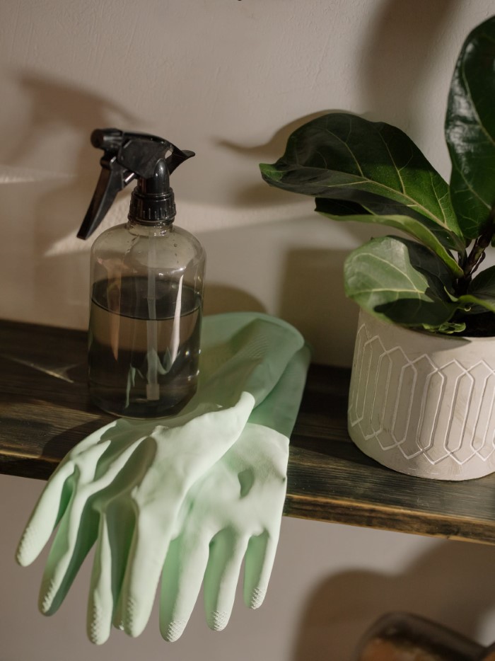 So können Sie Ihr Stoffsofa reinigen – wirksame Mittel aus dem eigenen Zuhause spray essig wasser seife