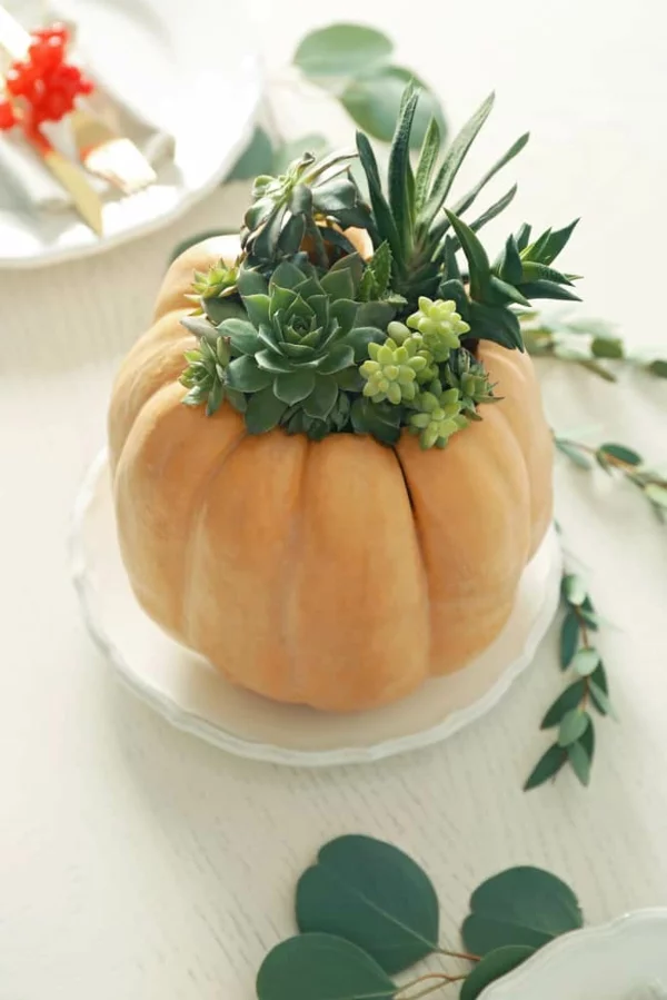natürliche Deko-Ideen Herbst Vase aus Kürbis basteln