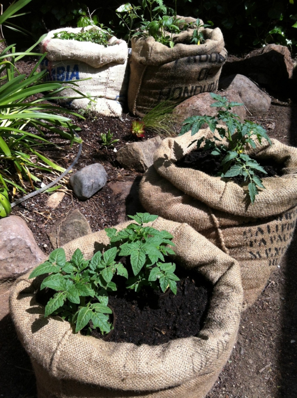 upcycling ideen garten kafeesäcke benutzen pflanzen beheimaten