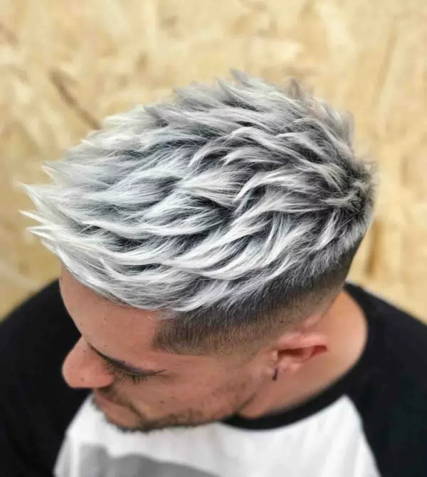 Silberne Haarfarbe maennerfrisuren 