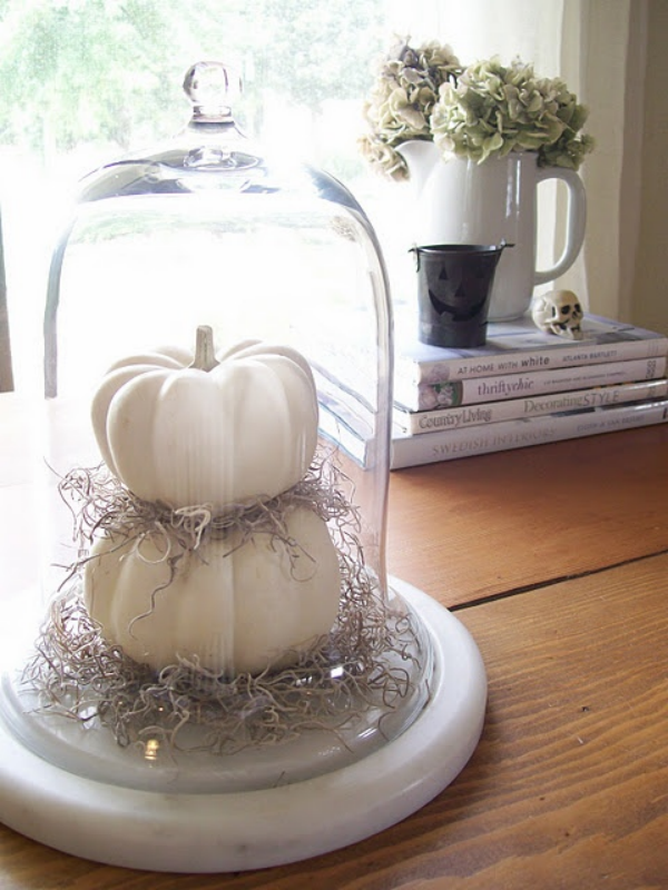 Weiße Halloween Deko Ideen weiße Kürbisse stilvoll gestaltet unter Glasdeckel