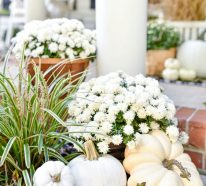 Herbstdeko Garten – 26 Ideen, wie Sie den Außenbereich aufpeppen