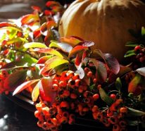 Herbstdeko mit Hagebutten für frische und farbenfrohe Herbststimmung