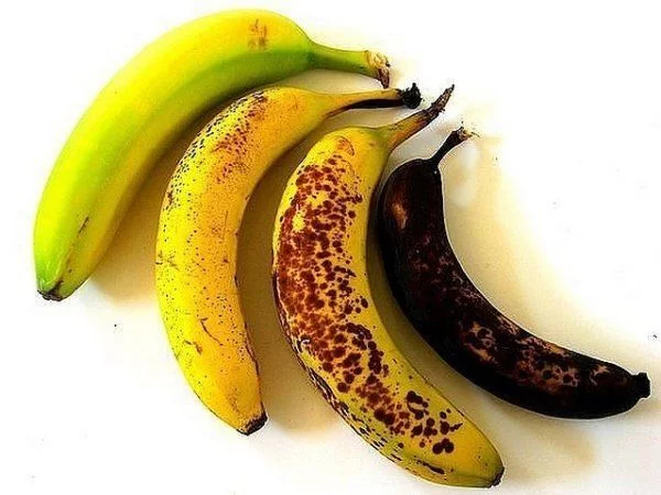 tolle reife bananen lagern