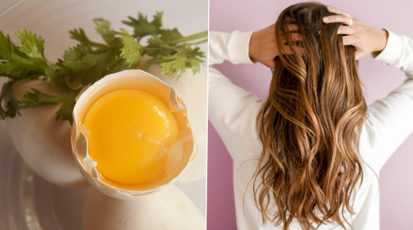 Οι μάσκες μαλλιών DIY για τους χειμερινούς μήνες τα ωμά αυγά κάνουν θαύματα θεραπευτική δύναμη από τη φύση