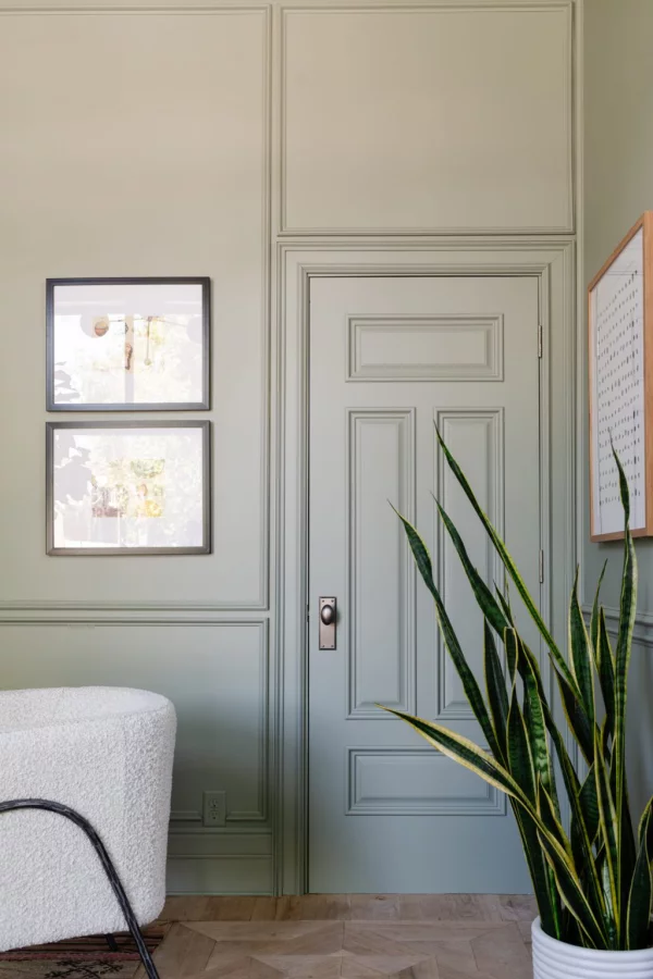 Evergreen Fog Farbe des Jahres 2022 Zimmertür Wandfarbe Ruhe Natürlichkeit Topfpflanze lange schmale Blätter