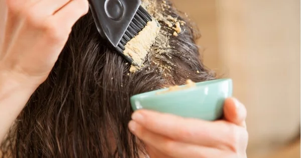 Haarmaske selber machen Ideen mit natürlichen Hausmitteln Bockshornkleepaste zubereiten und auftragen