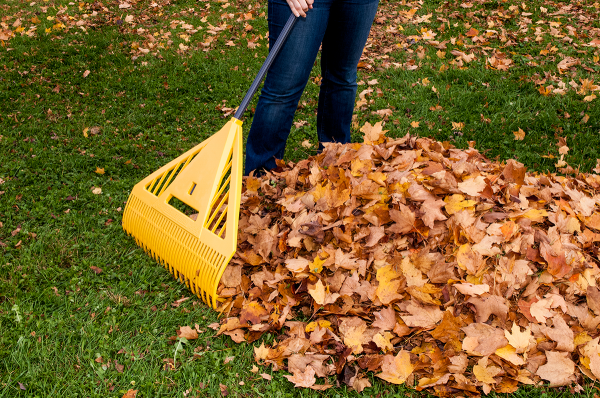 Herbstblätter harken sammeln und kompostieren