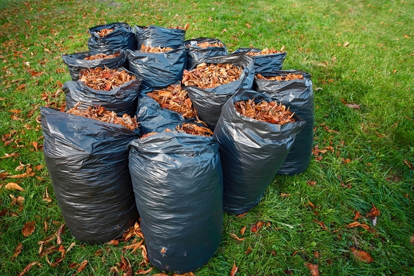 Herbstblätter in schwarzen Säcken sammeln und kompostieren