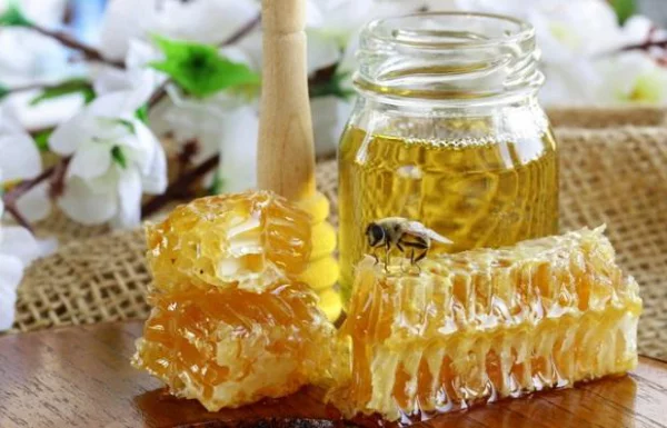 Honig und Zimt Booster-Duo Honig vom Imker in der Region kaufen