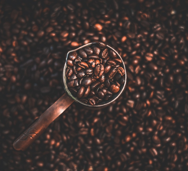 Kaffee trinken überraschende Vorteile für die Gesundheit die beste Medizin heutzutage dunkelbraune Kaffeebohnen
