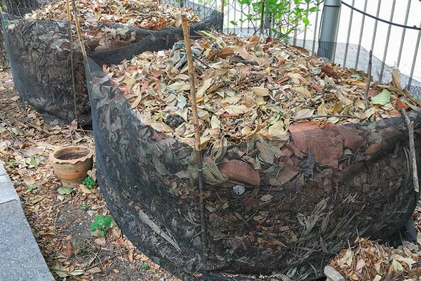 Kompost herstellen Herbstblätter sammeln und kompostieren