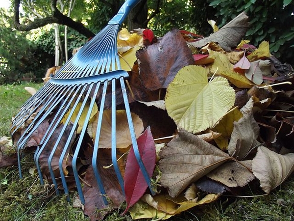 Kompost selbst herstellen Herbstblätter sammeln Gartenarbeit im Herbst