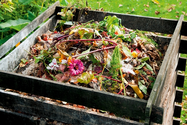 Kompost selbst herstellen Herbstblätter sammeln und kompostieren