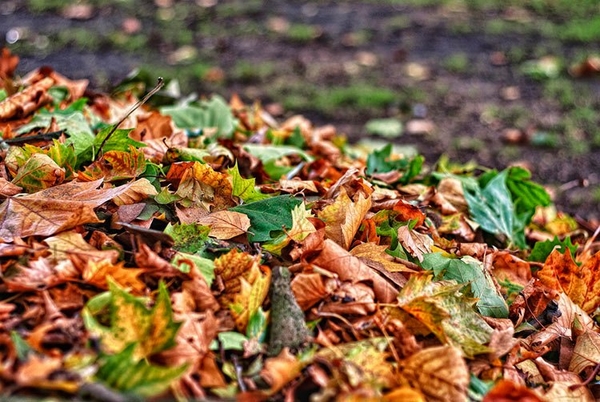 Laub kompostieren Gartenarbeit im Herbst Blätter