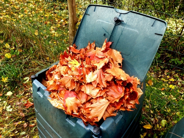 Laub kompostieren Komposttonne Gartenarbeit Herbstblätter sammeln