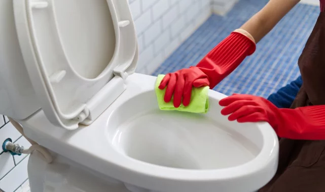 Toilette reinigen clevere Tricks den Urinstein entfernen schwere Aufgabe 