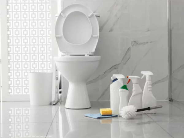 Toilette reinigen alles Notwendige parat haben Schwamm Reiniger Handschuhe Lappen