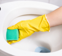 Toilette reinigen – Tipps und Tricks, wie Sie das WC richtig putzen