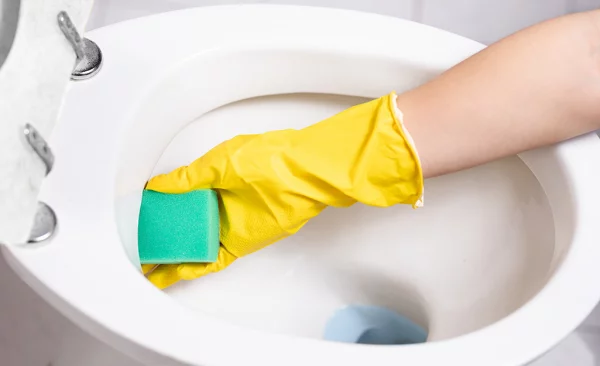 Toilette reinigen das WC putzen mit Schwamm abschrubben schwere Aufgabe Handschuhe tragen