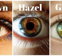 Welche Haarfarbe passt zu grünen Augen? – vollständige Anleitung Teil 1