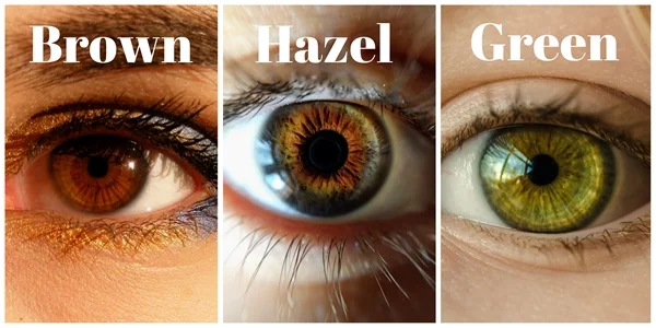 Welche Haarfarbe passt zu grünen Augen Augenfarbe bestimmen