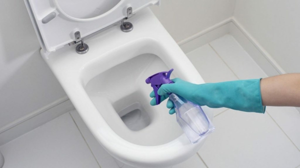 toilette reinigen essig benutzen hausmittel gegen chemie