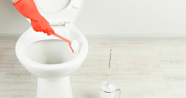 toilette reinigen kalkablagerungen urinkalk entfernen