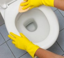 Toilette reinigen – Welche Hausmittel helfen dabei?