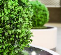 Künstliche Pflanzen – Vorteile fürs Zuhause und Büro