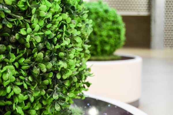 Künstliche Pflanzen – Vorteile fürs Zuhause und Büro grüne hecken kunststoff