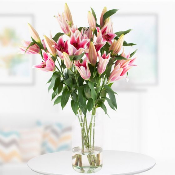 Blumensprache zum Valentinstag Blumen in Vase Lilien in Rosa toller Blickfang alter Brauch am 14. Februar